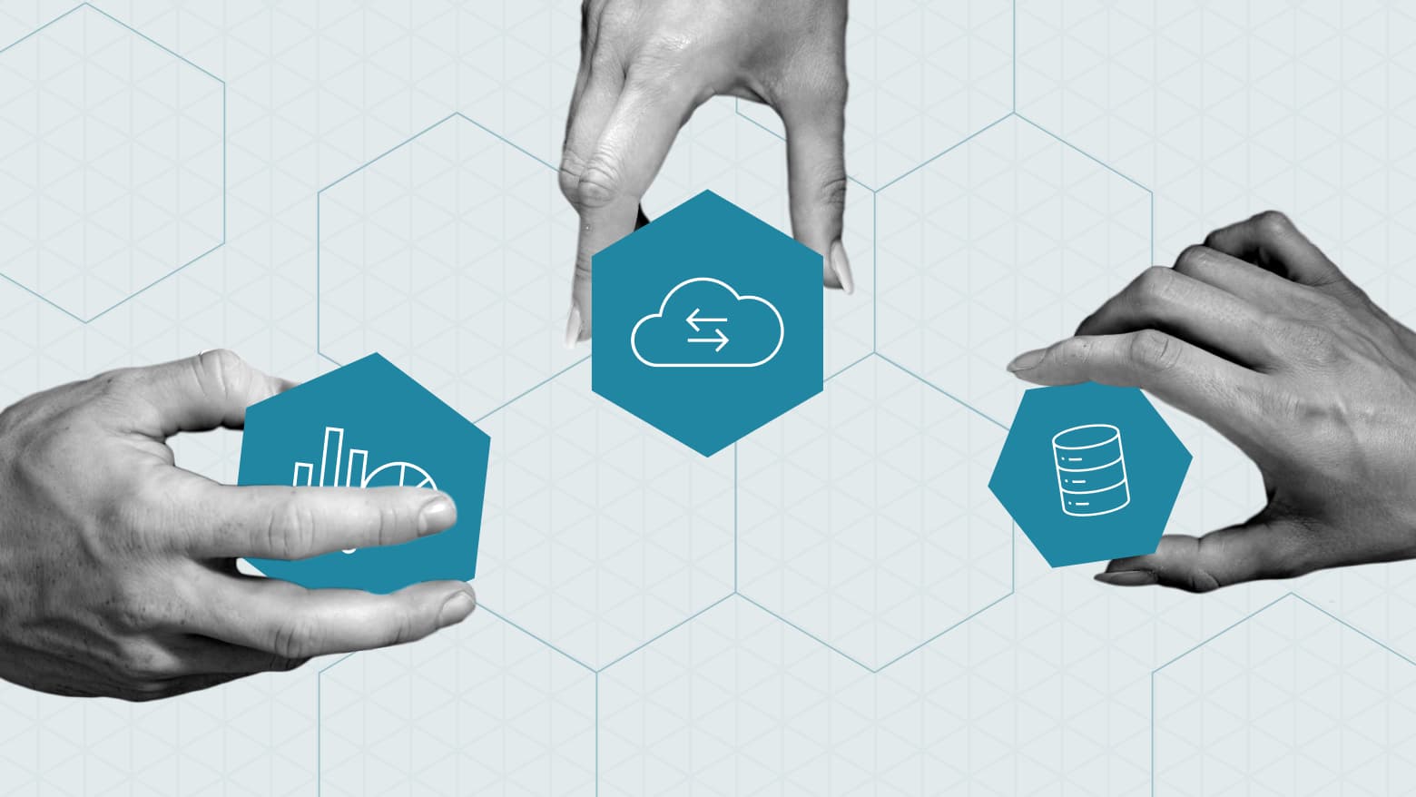 Stone Rooster Technology Solutions partner